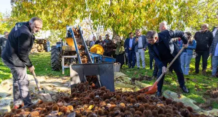 İzmir, gıda güvenliğinde model oluyor