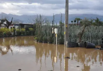Ödemiş’te sağanak yağış hayatı olumsuz etkiledi