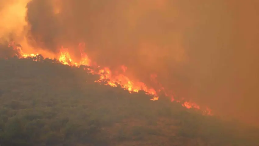 Yamanlar yangını sonrası “rant” iddialarına Orman Bölge Müdürlüğü’nden yalanlama