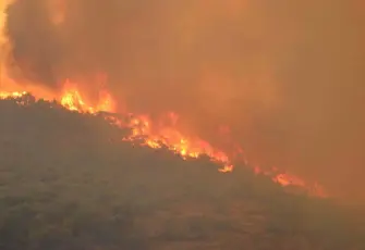 Yamanlar yangını sonrası “rant” iddialarına Orman Bölge Müdürlüğü’nden yalanlama