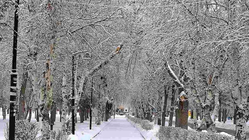 Doğu’da kar hayatı olumsuz etkiliyor haberinin görseli