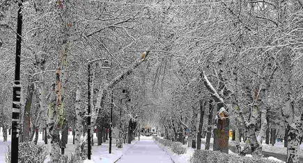 Doğu’da kar hayatı olumsuz etkiliyor