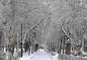 Doğu’da kar hayatı olumsuz etkiliyor