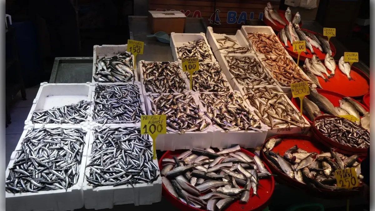 Trabzon’da balık tezgahlarında bereket sürüyor haberinin görseli