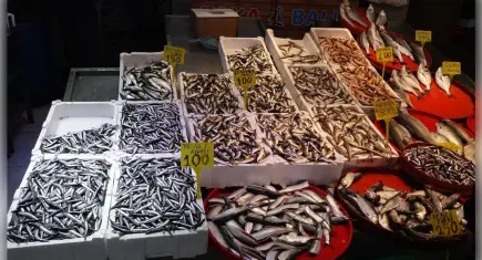 Trabzon’da balık tezgahlarında bereket sürüyor