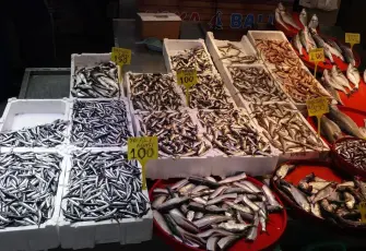 Trabzon’da balık tezgahlarında bereket sürüyor