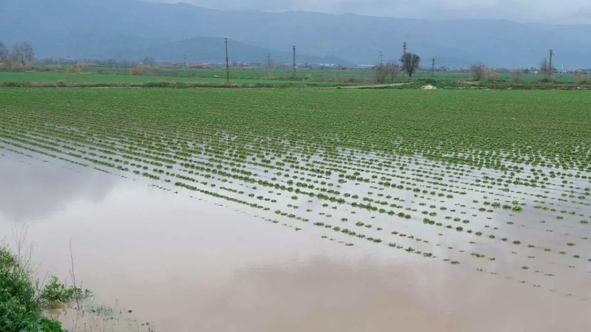 ZMO İzmir Başkanı Çakıcı: Suyu muhafaza etmeliyiz haberinin görseli