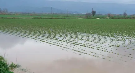 ZMO İzmir Başkanı Çakıcı: Suyu muhafaza etmeliyiz