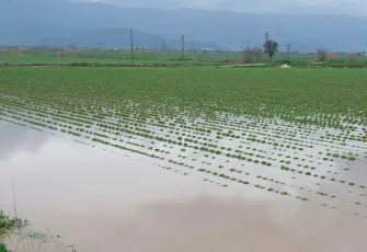 ZMO İzmir Başkanı Çakıcı: Suyu muhafaza etmeliyiz