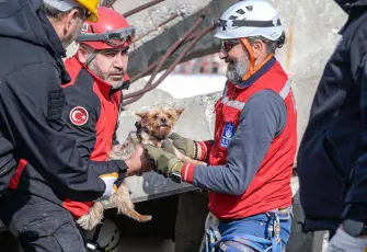 Afetlerde hayvan kurtarma için eğitim seferberliği