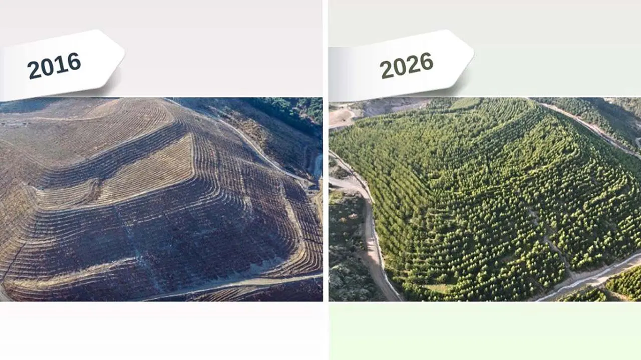 Eski maden sahası doğaya yeniden kazandırıldı