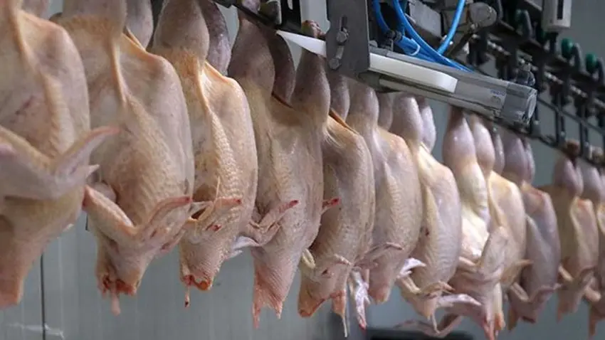 Spekülatif fiyatlara ihracat freni: Bakanlıktan "Fahiş Fiyat" istismarına geçit yok haberinin görseli