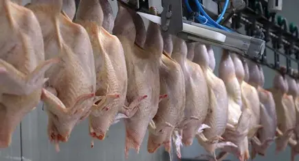 Spekülatif fiyatlara ihracat freni: Bakanlıktan "Fahiş Fiyat" istismarına geçit yok