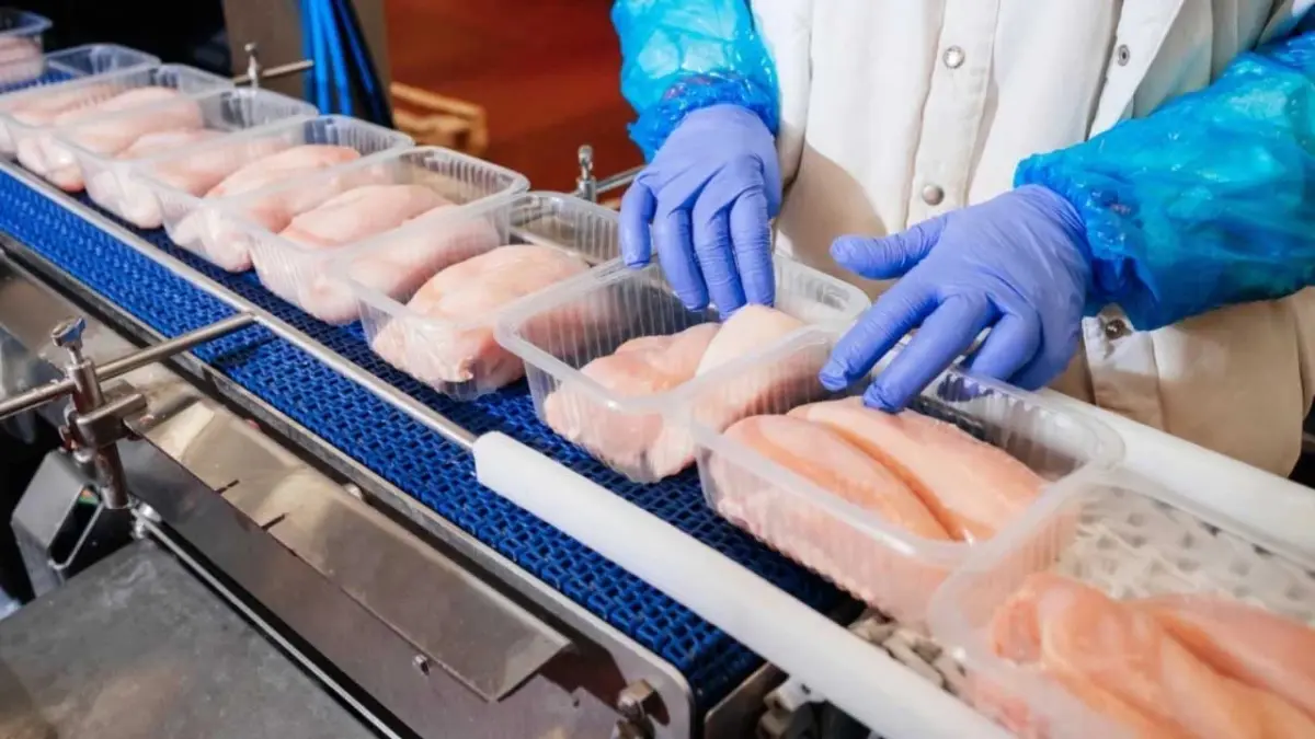 Ticaret Bakanlığı'ndan tavuk fiyatlarına "İhracat" freni: Ramazan öncesi fahiş zamma yasak geldi! haberinin görseli