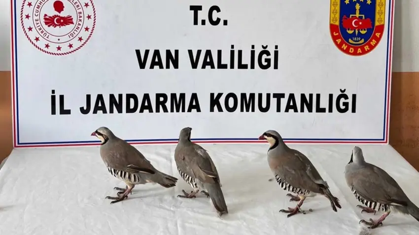 Kaçak avın bedeli ağır oldu: 4 keklik için 85 bin TL ceza! haberinin görseli