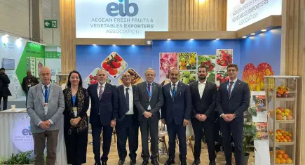 Yaş meyve sebze sektöründe en çok ihracat yapılan 20 ülkenin 10’u AB ülkesi