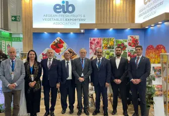 Yaş meyve sebze sektöründe en çok ihracat yapılan 20 ülkenin 10’u AB ülkesi