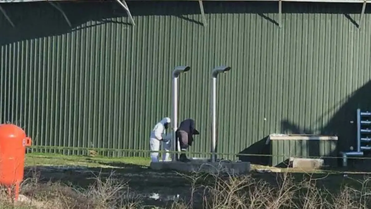 Biyogaz tesisinde feci kaza: 3 işçi hayatını kaybetti haberinin görseli