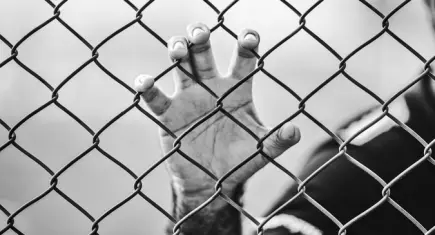 Ceza İnfaz Sisteminde Sivil Toplum Derneği’nden hapishane denetimini zayıflatan uygulamalara tepki