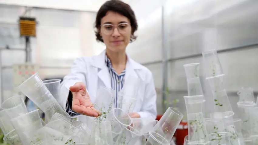 EÜ’lü bilim insanı uzayda bitki yetiştiriyor haberinin görseli