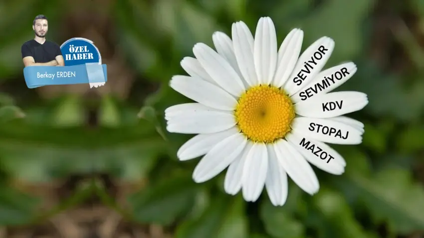 Sevginin 5’te 1’i vergiye gidiyor