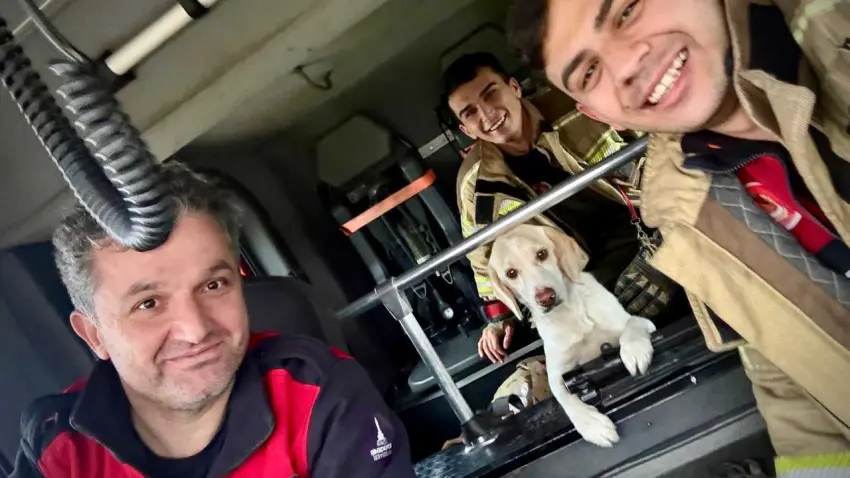 Torbalı’da selde mahsur kalan köpeği itfaiye kurtardı