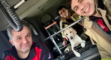 Torbalı’da selde mahsur kalan köpeği itfaiye kurtardı