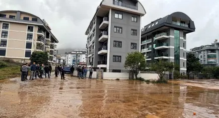 Antalya sular altında: Konyaaltı sahilinde ölü boğa bulundu!