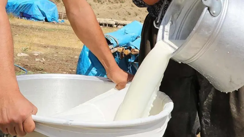 Süt üreticisi her litrede 3,15 TL zarar ediyor