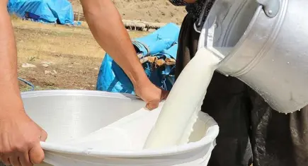 Süt üreticisi her litrede 3,15 TL zarar ediyor