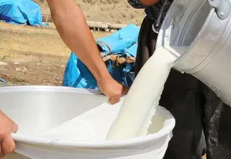 Süt üreticisi her litrede 3,15 TL zarar ediyor