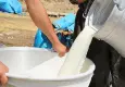 Süt üreticisi her litrede 3,15 TL zarar ediyor