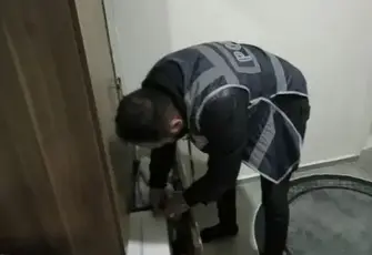 Aydın merkezli vize dolandırıcılığı operasyonu: 12 tutuklama