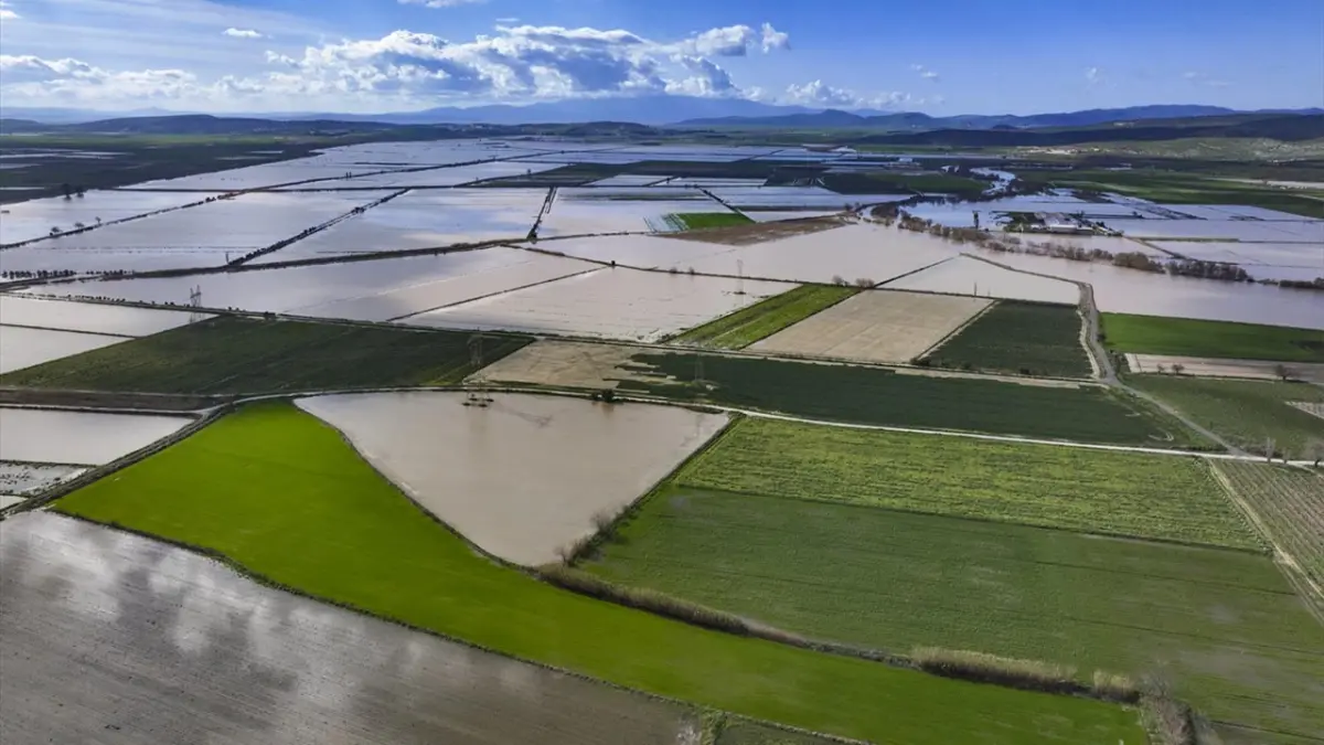 Gediz Nehri taştı, Menemen’de tarım arazileri sular altında kaldı haberinin görseli