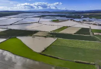 Gediz Nehri taştı, Menemen’de tarım arazileri sular altında kaldı