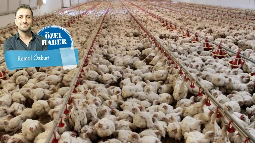 İhracat yasağı Türkiye’yi ‘spotçu’ konumuna düşürür