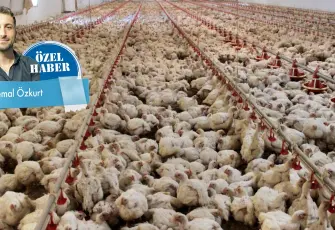 İhracat yasağı Türkiye’yi ‘spotçu’ konumuna düşürür