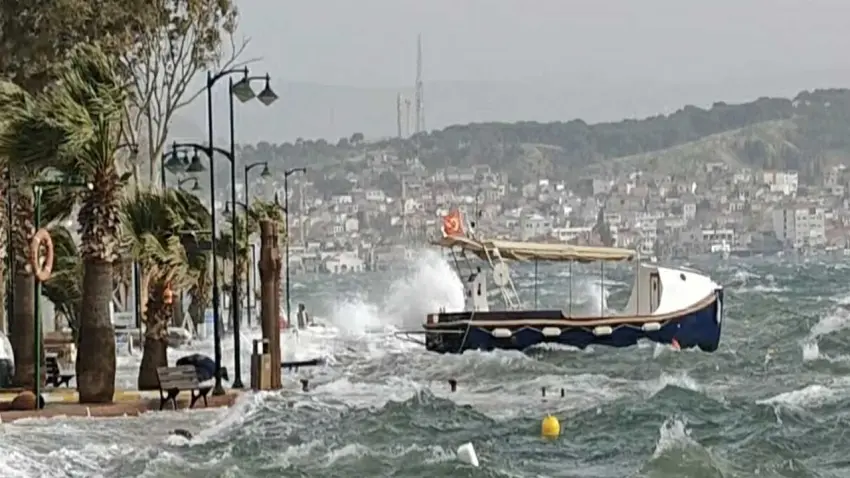 Deniz, sokaklarla buluştu haberinin görseli