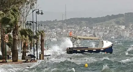 Deniz, sokaklarla buluştu