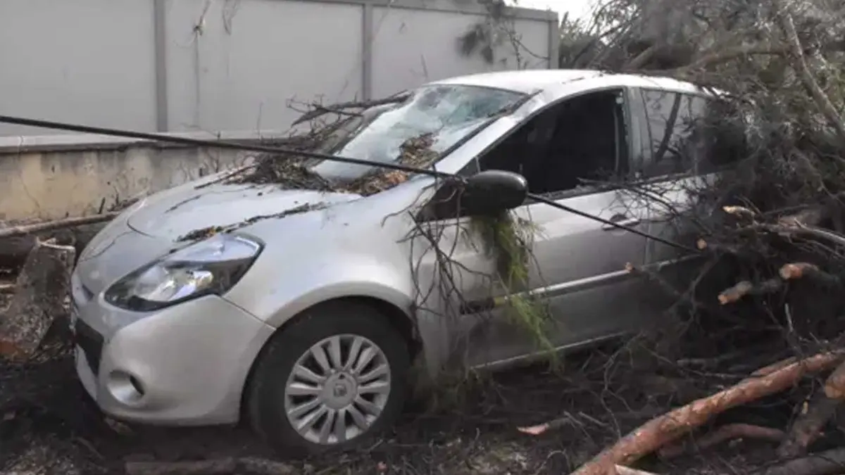 İzmir’de fırtına kabusu: Dev aç otomobili biçti haberinin görseli