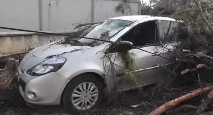 İzmir’de fırtına kabusu: Dev aç otomobili biçti