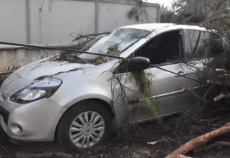İzmir’de fırtına kabusu: Dev aç otomobili biçti