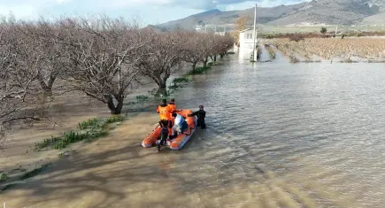 İzmir’de sel sularına karşı zamanla yarış: Mahsur kalan hayvanlar kurtarıldı