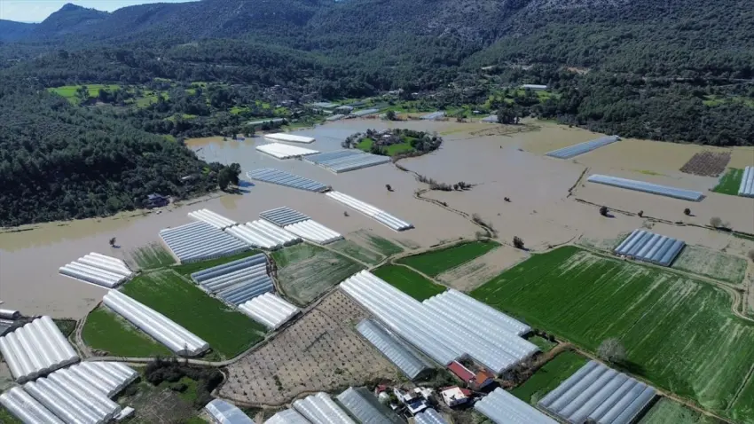 Muğla’da selin bilançosu ağır oldu: Binlerce dekar arazi ve serada hasar var