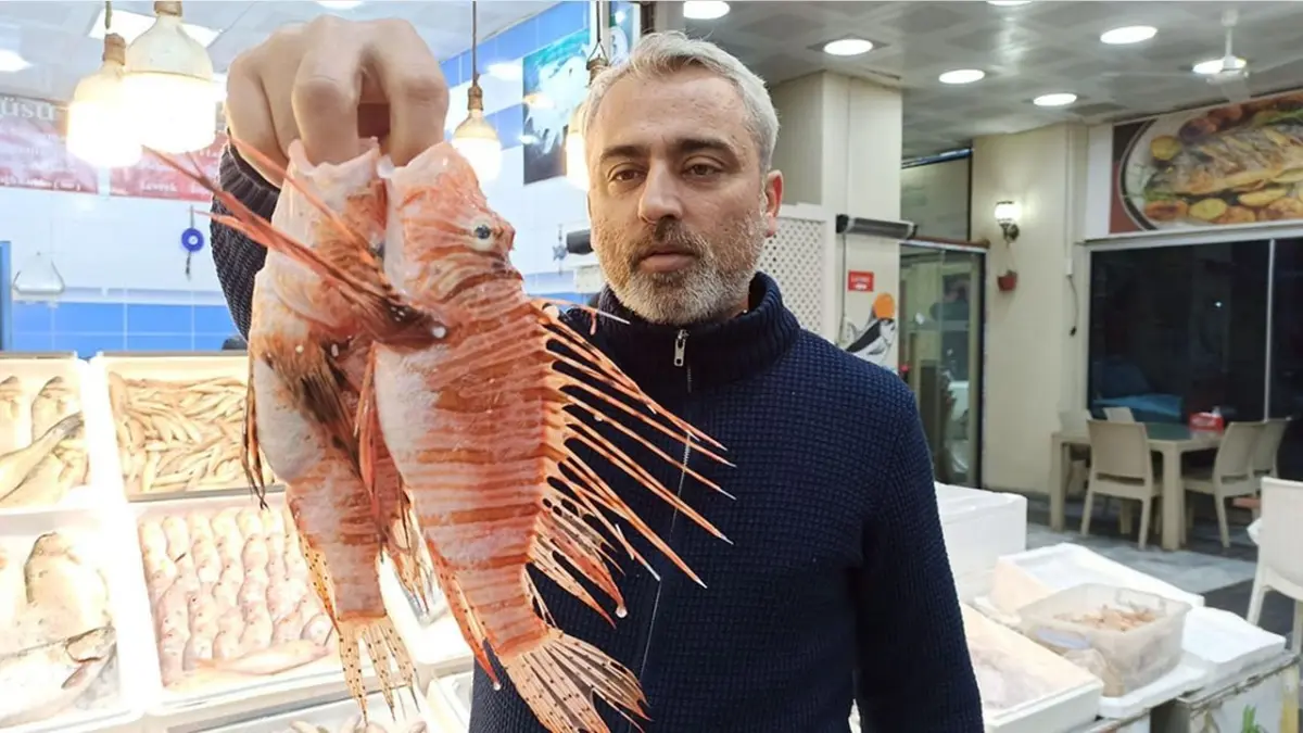 Tezgahta Yasak, Sofrada Talep Var: Aslan Balığı Gizli Müşterisini Buluyor haberinin görseli