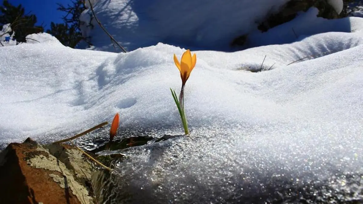 Cemre düştü mü? 2026 cemre düşme tarihleri: İlk cemre ne zaman düşecek? haberinin görseli