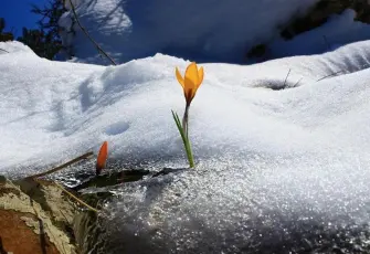 Cemre düştü mü? 2026 cemre düşme tarihleri: İlk cemre ne zaman düşecek?