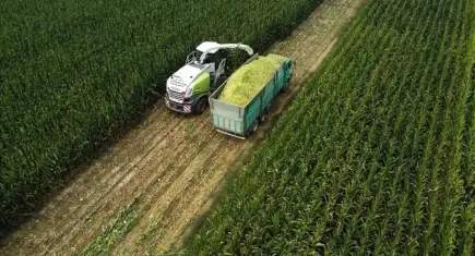 Tarım üretici fiyatları yıllık yüzde 43,58 arttı