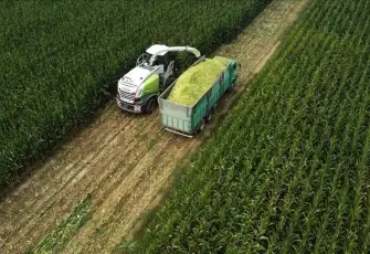 Tarım üretici fiyatları yıllık yüzde 43,58 arttı