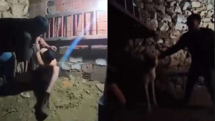 Güvercin çalan çocuğa ahırda işkence: Şüpheliler serbest bırakıldı haberinin görseli